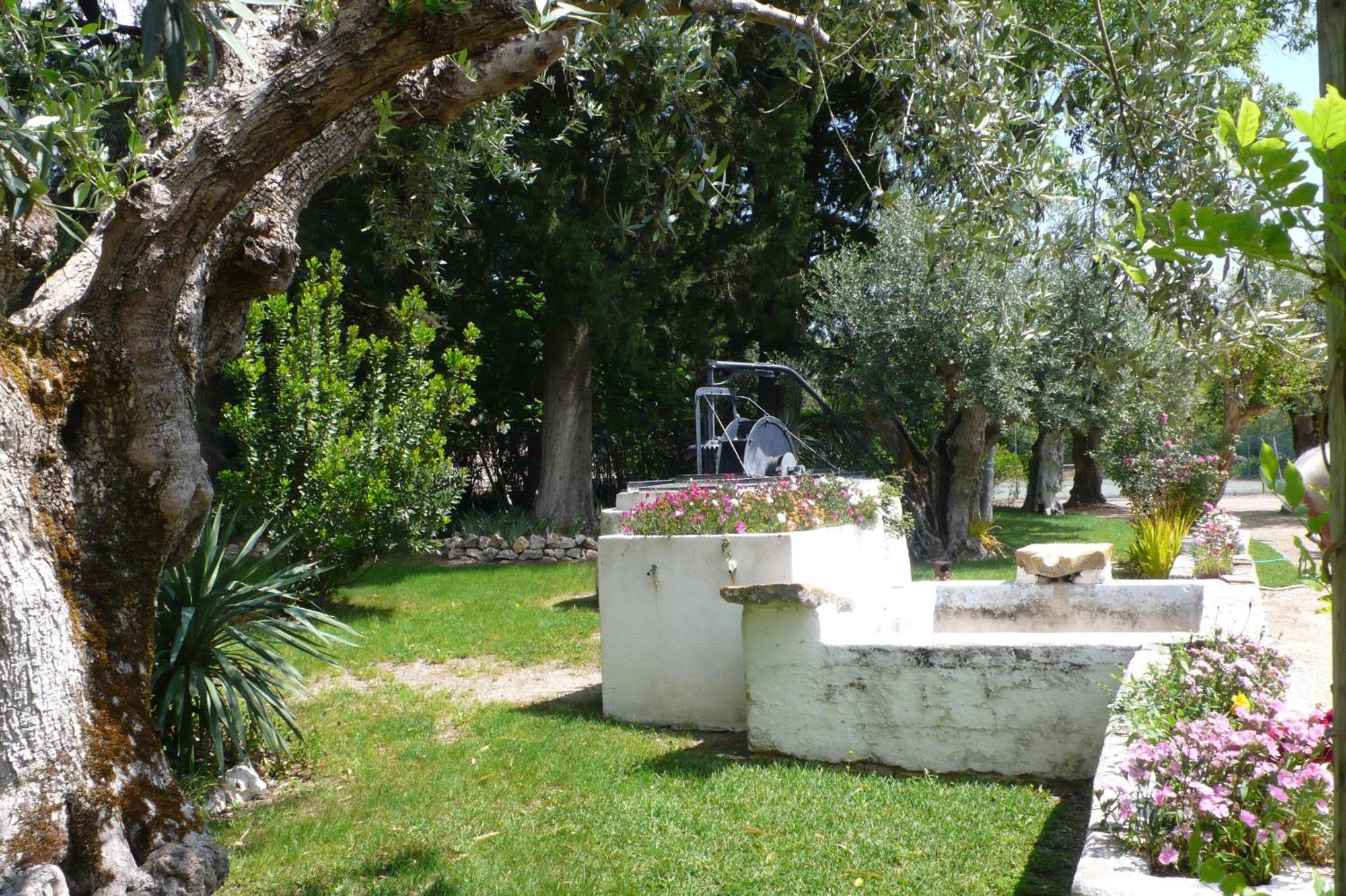 Casa Da Avo Genoveva Guest House Tomar Exterior foto