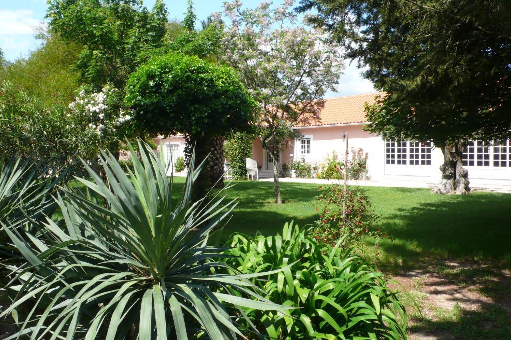 Casa Da Avo Genoveva Guest House Tomar Exterior foto